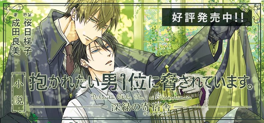 小説 商品一覧 株式会社リブレ