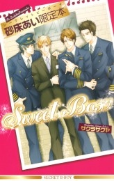 シークレットビーボーイ砂床あい限定本 Sweet Box